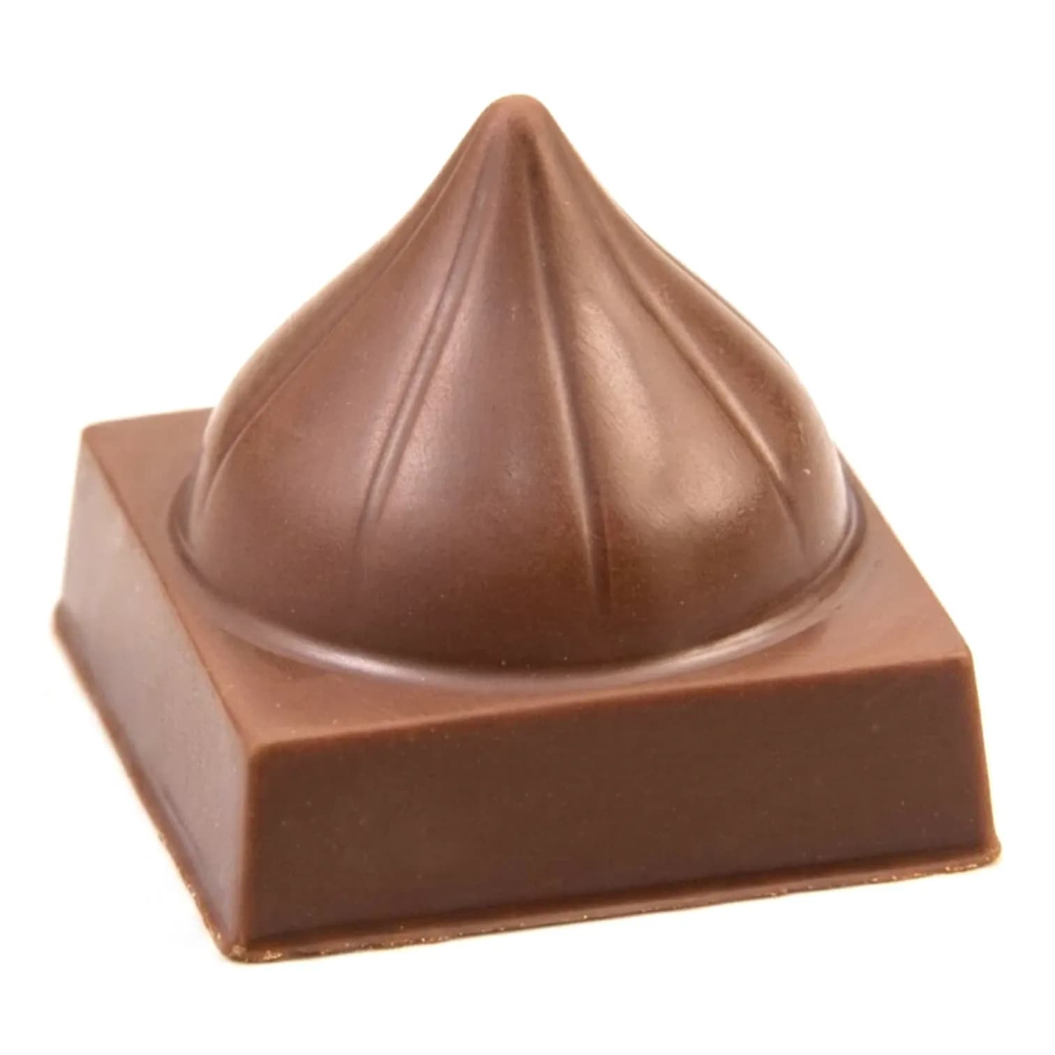 Cacao Chocolate Mould 509