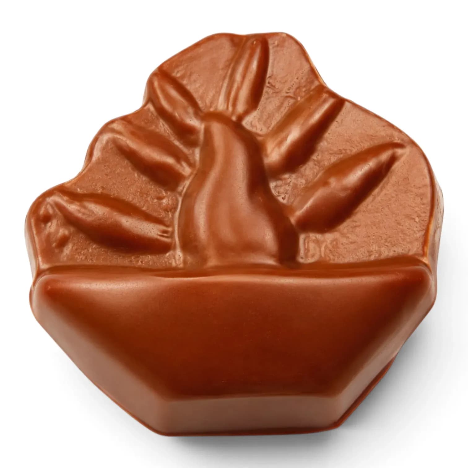 Cacao Chocolate Mould 70